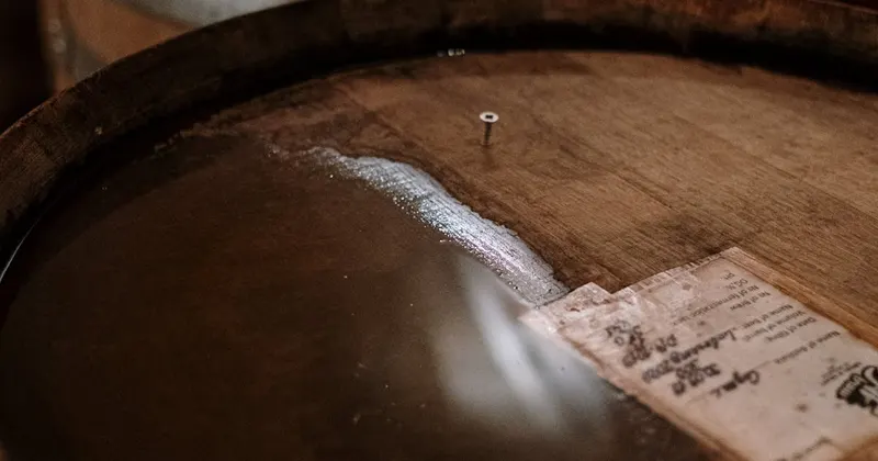 Brewery taproom with clean bar and tasting area