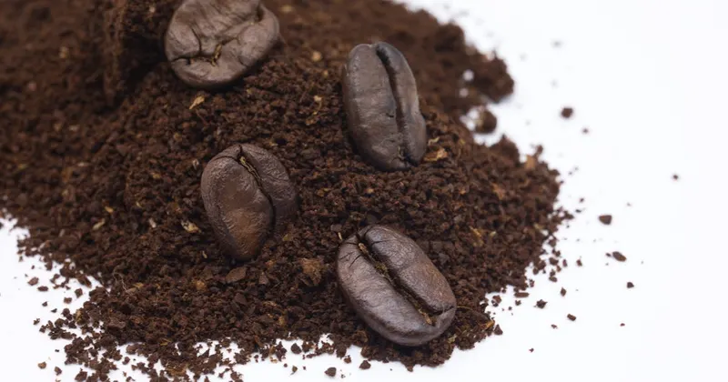 Close-up of roasted coffee grounds on a white surface