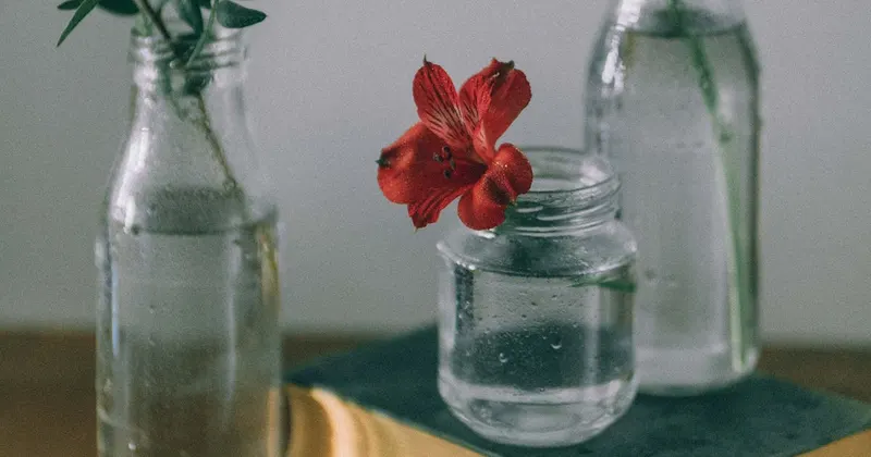 Clear glass bottles and vases with leaves and flowers