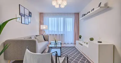 Elegant grey sofa with plush cushions in a contemporary living room setting.