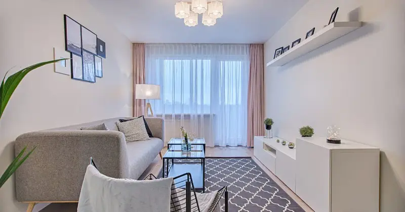 Elegant grey sofa with plush cushions in a contemporary living room setting.