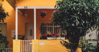 New construction home exterior with fresh landscaping