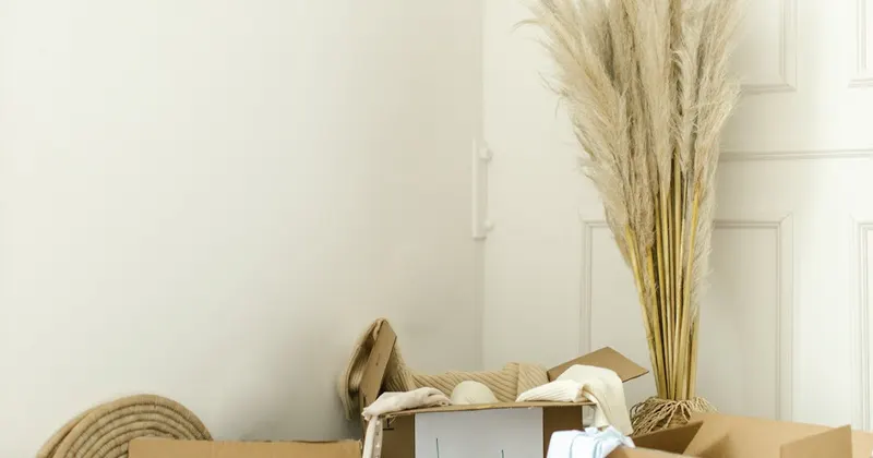 Boxes used for segregating and organizing things at home