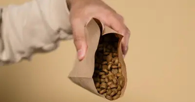 An overhead shot of dog food in a white bowl placed on a wooden floor, offering ample copy space.