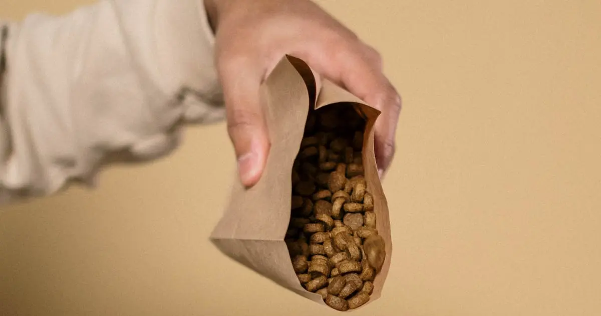 An overhead shot of dog food in a white bowl placed on a wooden floor, offering ample copy space.