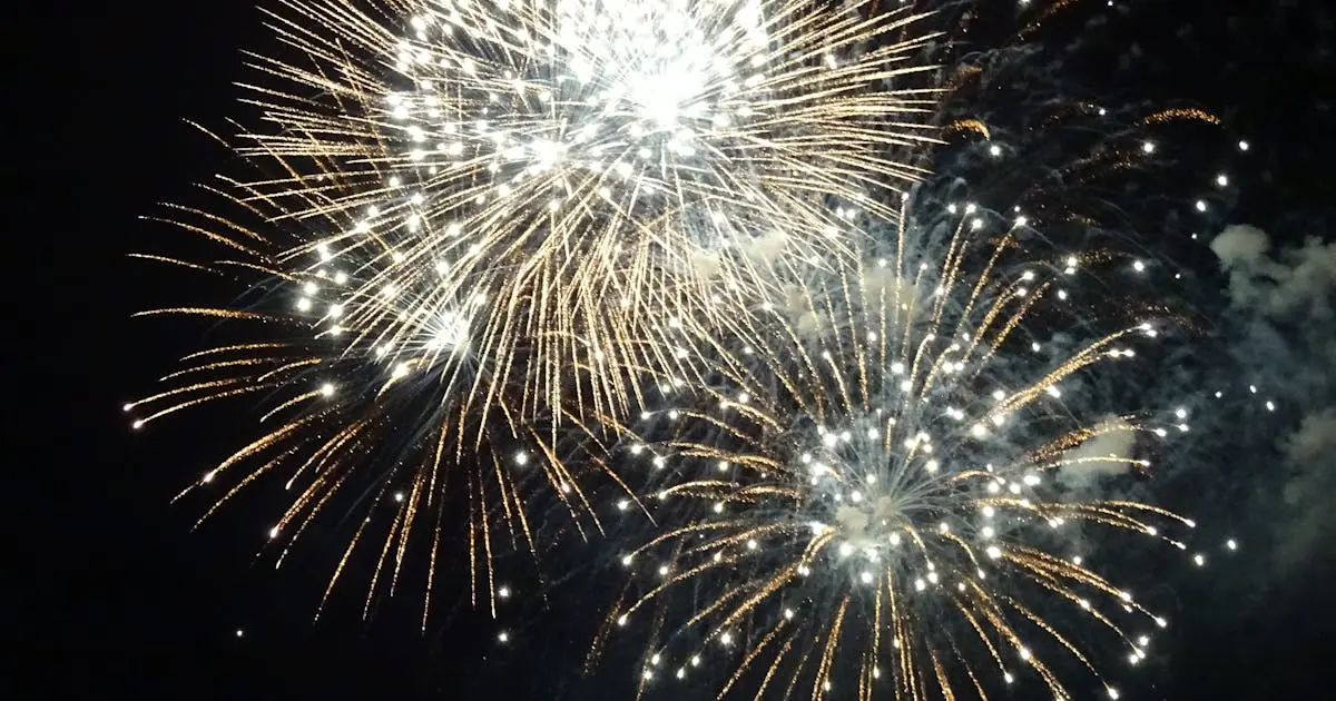 Fireworks display lighting up the night sky for celebration