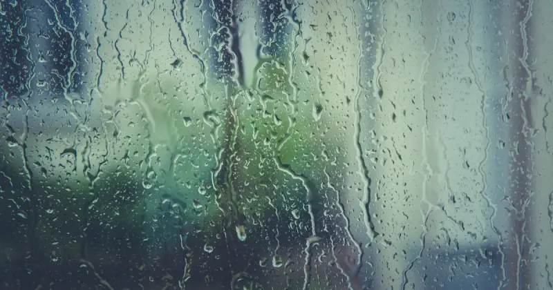 Raindrops streaming down a glass window during Houston rainy season