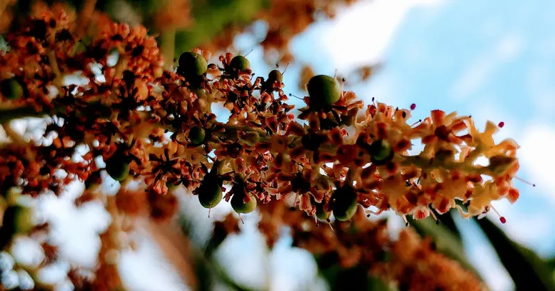 Shallow focus of yellow flower pollen in spring bloom