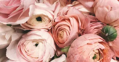Beautiful flowers and a clean bright home for Mother's Day gift idea