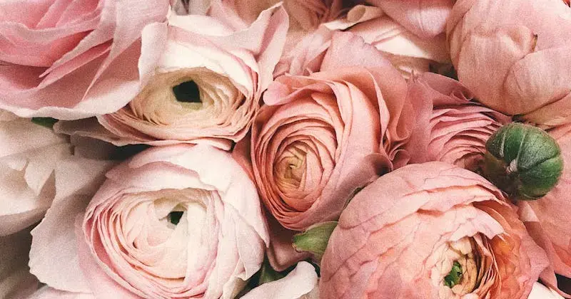 Beautiful flowers and a clean bright home for Mother's Day gift idea