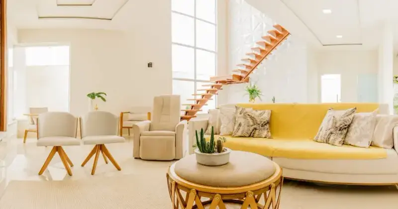 Clean living room with natural light showing freshly vacuumed carpet