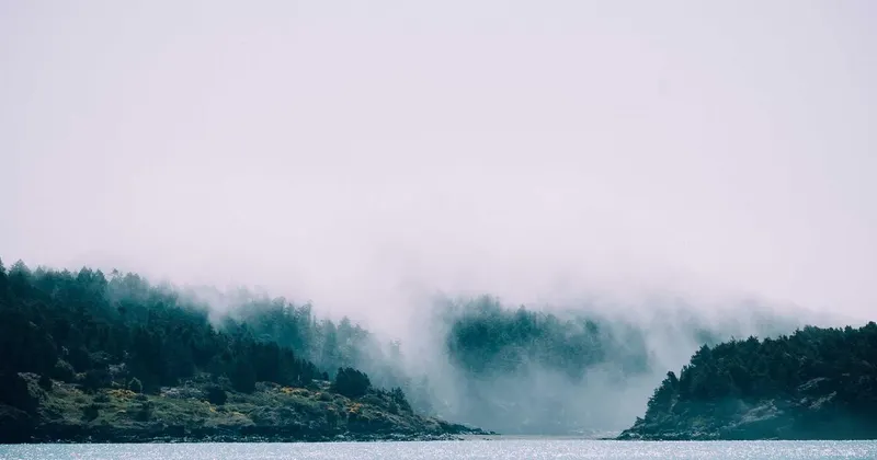 Close-up of cleaning air vents and shelves with a duster