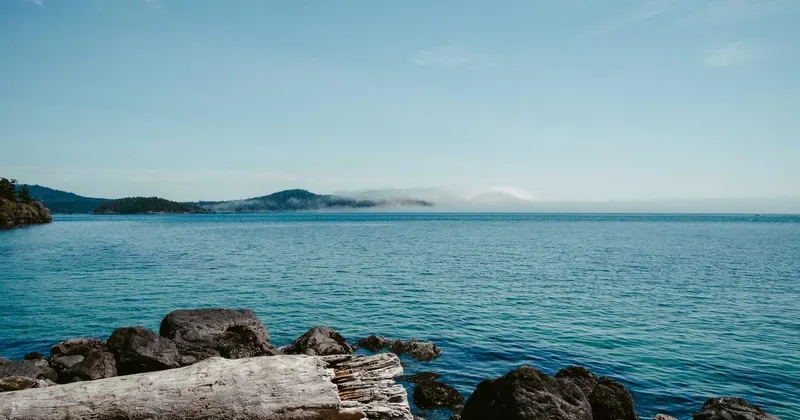 Close-up of a dishwasher detergent compartment