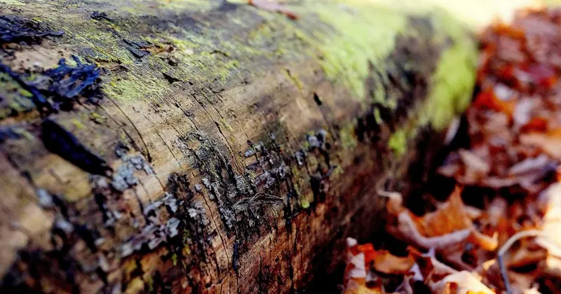 Clean interior with organized items and schedule on wall