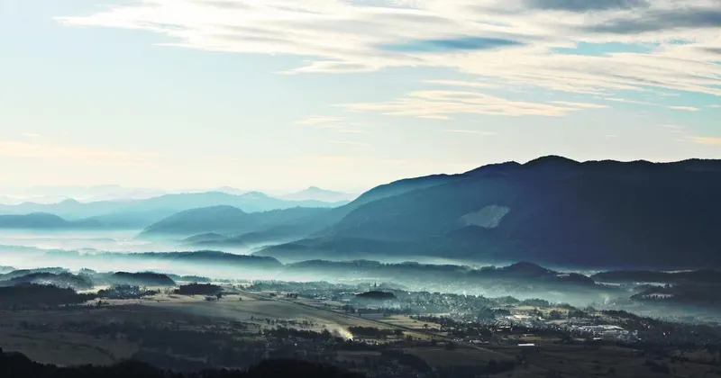 Commercial floor being polished and maintained