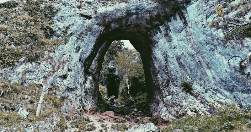 Janitorial service cleaning an office floor