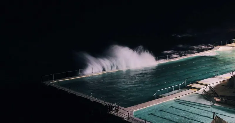 Person pouring dog food into an organized pet feeding station