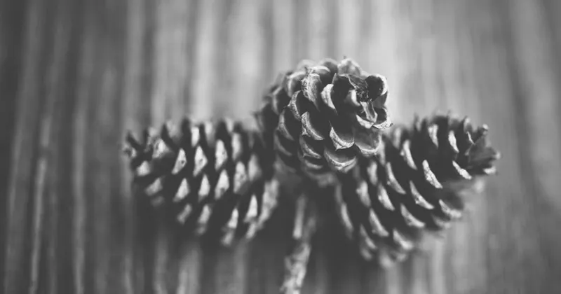 Man cleaning large glass windows indoors